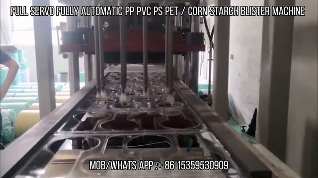 Plastic Container Making Machine  Automatic PET PP PS PVC PE ABS HIPS Corn Starch Blister Machine