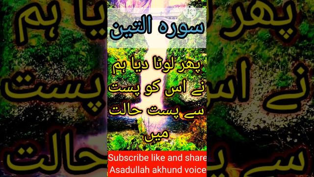 surah at tin with urdu translation سورہ التین اردو ترجمہ قسم ہے انجیر اور زیتون کی