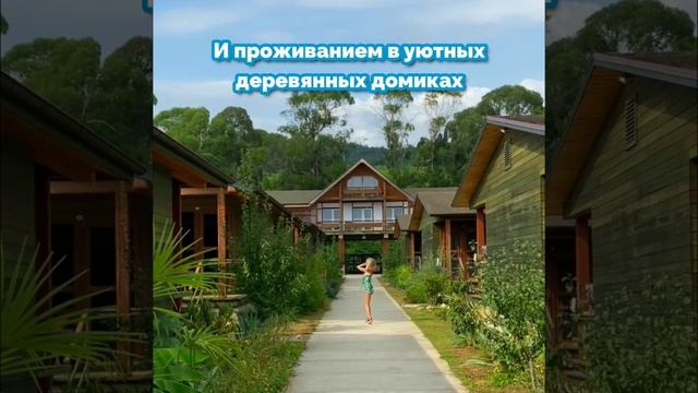 Абхазия, отель с тёплым инфинити-бассейном