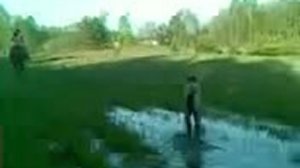 Мети-Мерлин на прогулки 1