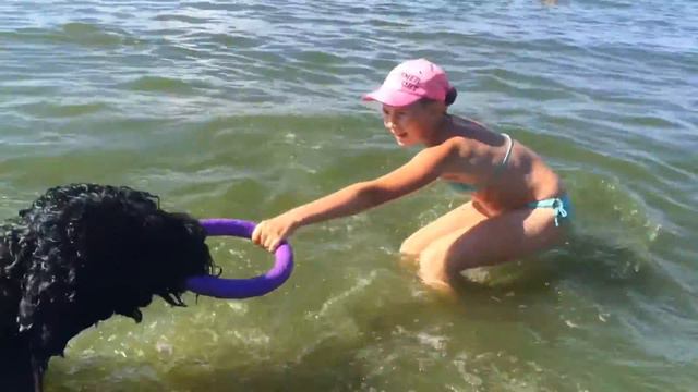 Человек собаке друг! смотреть онлайн