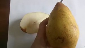 Груша сорту Яблунівська, характеристика