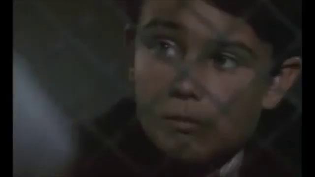 Stallone alle prese con la mancanza di Prosecco смотреть онлайн