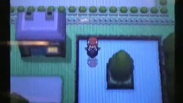 noodles' Guide to EV Training смотреть онлайн