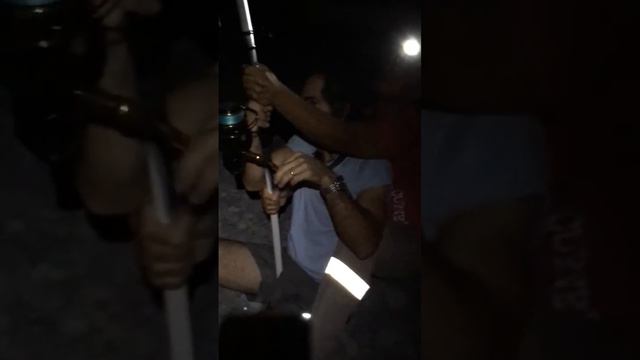 GT from shore 77 lbs Carangue Grosse tête 35 kg du bord смотреть онлайн