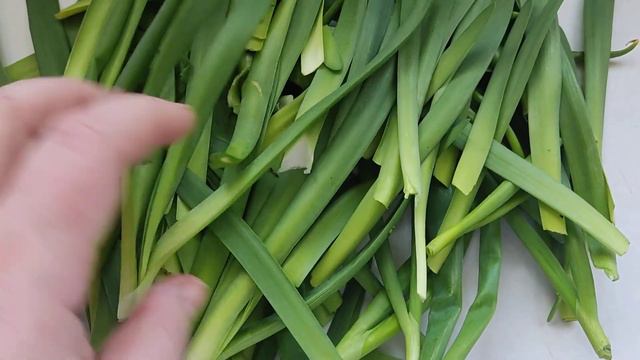 Свой зелёный лук - перо в апреле. смотреть онлайн