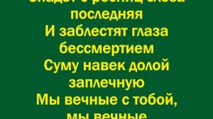 Мы вечные с тобой, мы вечные
