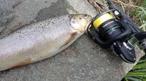 Рыбалка в Армении / Горная Форель / 2022 / Ձկնորսություն Հայաստանում / Trout fishing in Armenia