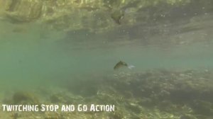 ДЖАКАЛ МАГАЛОН Копия Воблера от BEARKING