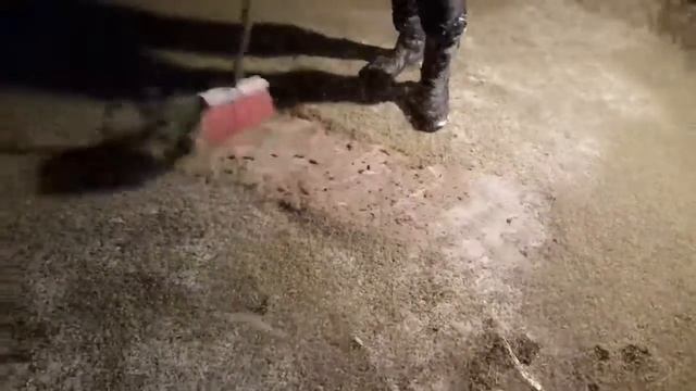 аномальное появления комаров смотреть онлайн