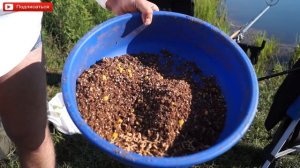 Нужна ли меласса при ловле подлещика на фидер.