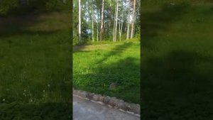Красногвардейское озеро