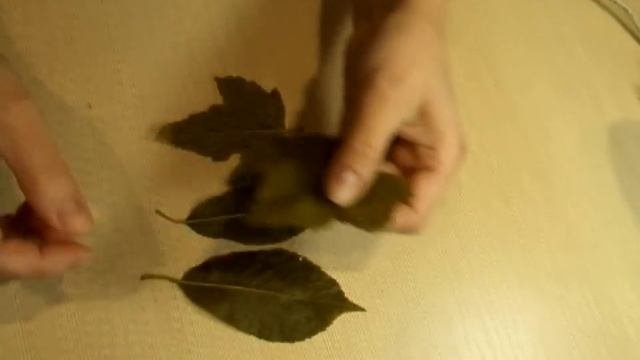 КАКИЕ МОЛДЫ МОЖНО ИСПОЛЬЗОВАТЬ ДЛЯ ФОАМИРАНА