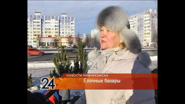 В канун новогодних праздников леса Нижнекамска взяты под усиленный контроль смотреть онлайн