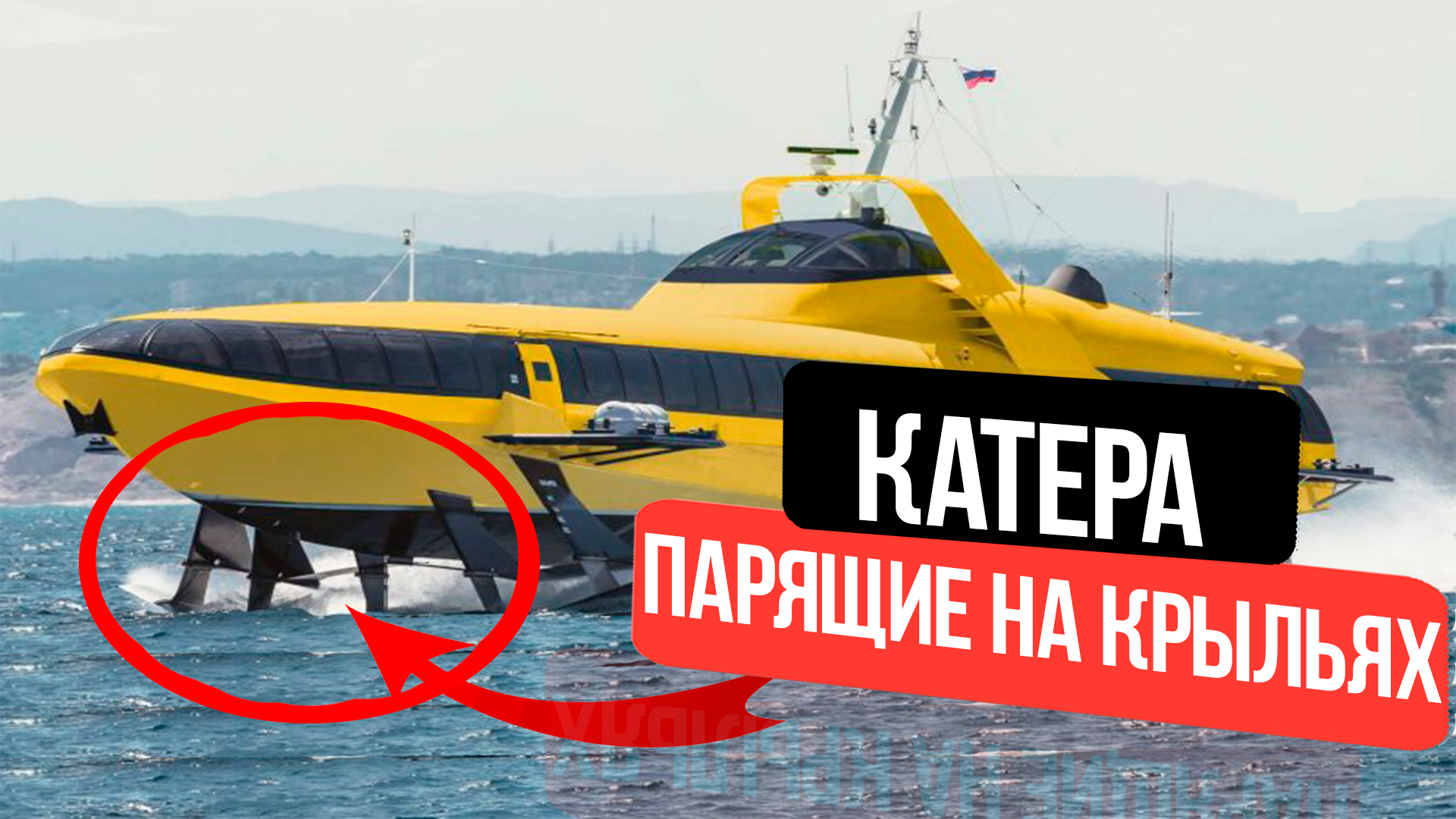 10 Российских катеров на подводных крыльях// Парящие катера