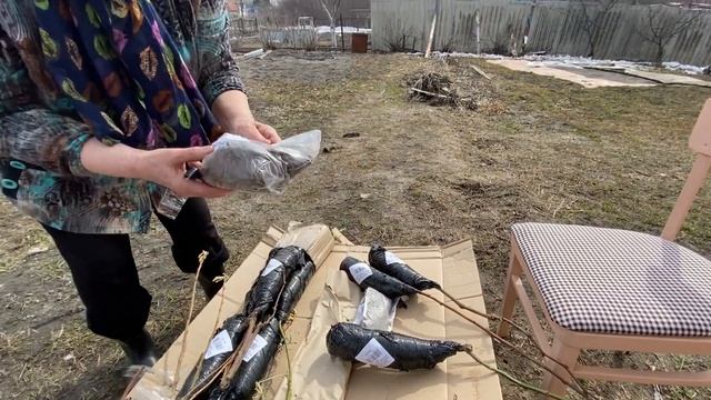 Купили дачу, 2 сезон?Ура на дачу??Саженцы с агромаркета24?Как прошла зима?❄️Снег в дело❄️