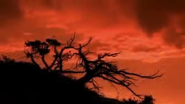 Ошо Тантра Проявление праны в семи телах смотреть онлайн