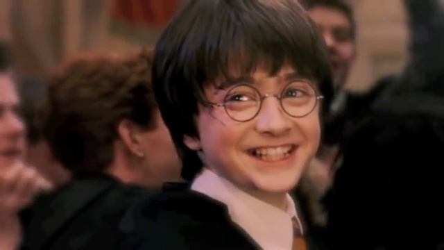 Détournement Harry Potter - Disneyland Paris смотреть онлайн