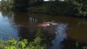 Река Пехорка по-прежнему пользуется популярностью у отдыхающих