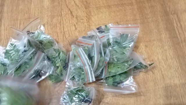 Посылка от Вегетки НН неукорененных черенков. Все супер !!! смотреть онлайн