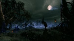 Darkwood — Forest Ambience, Dark Ambient Music, Mysterious Atmosphere