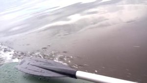 HDX F5BMS + Мнев CatFish 310