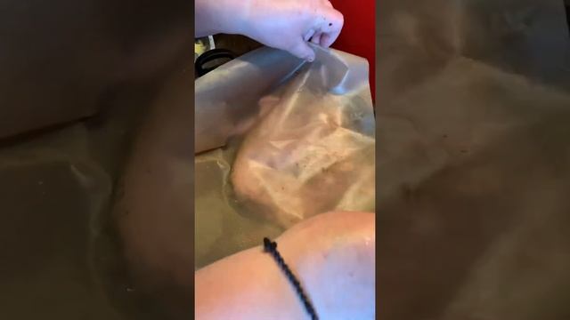 Курочка в чесночном соусе по грузински смотреть онлайн