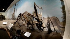 Royal Tyrrell Museum of Palaeontology Музей Динозавров