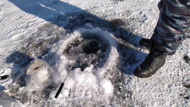 РЫБАЛКА в Приморье на корюшку | Рыба пахнет огурцом! смотреть онлайн