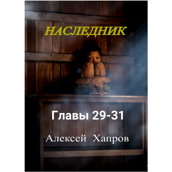 Наследник. Книга первая
Главы 29-31