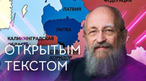 "Открытым текстом" с Анатолием Вассерманом. Выпуск от 26.06.2022