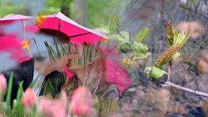 Секрет - Позывные весны