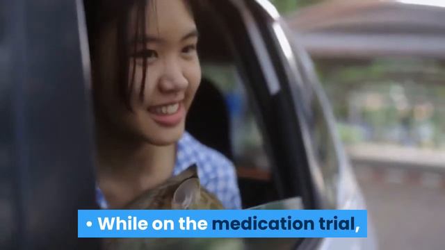 How to Travel with a Cat || How to travel with a cat long distance смотреть онлайн