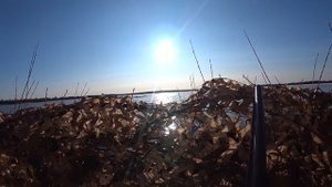 ОХОТА НА ТУРПАНА, ЧЕРНЕТЬ СЕВЕР ЯКУТИИ БЕЗ СПЕШКИ.