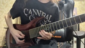 Messhugah - Bleed Solo Cover