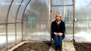Первые работы в теплице. Всё успеть и вырастить максимум урожая