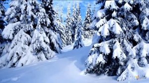 Сказка ленивица и рукодельница