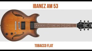 Ibanez AM 53