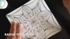 Radial Symmetry Drawing