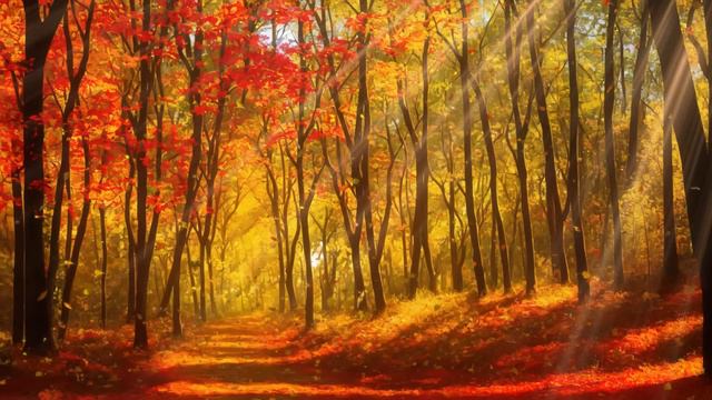 Relaxing Meditation Music with Guitar for Calm, Sleep, Study, Work, Morning, Autumn смотреть онлайн