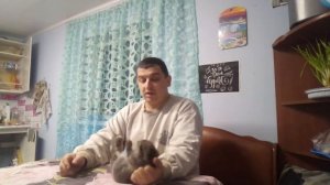 Вздутие у кроликов.