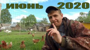 С таким подсобником приятно работать: делаем огуречный дом!