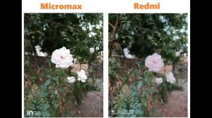 Micromax in Note 1 Vs Redmi Note 9 Pro Camera Test & Comparison | Detailed Camera review