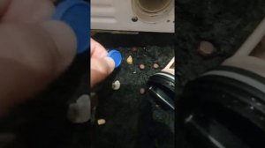 Видео обзор: стиральная машина Samsung WF0408N2N. Как почистить фильтр и демонтаж лотка для порошка