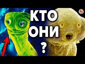 ОНИ ВНУТРИ НАС ? ПАРАЗИТЫ - ГЛАВНОЕ ЧТО НУЖНО ЗНАТЬ О НИХ И КАК ОТ НИХ ИЗБАВИТЬСЯ