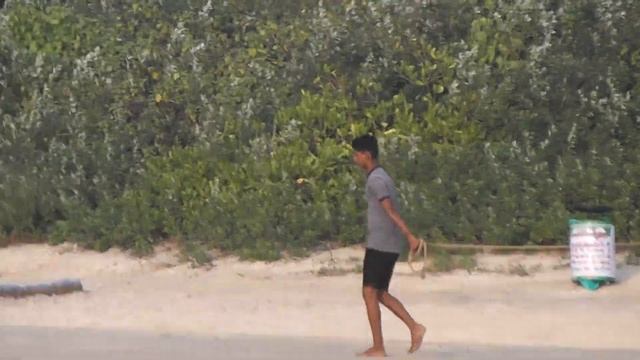 Индия, Южный Гоа, пляж Беталбатим, раздолье для местных собак! смотреть онлайн