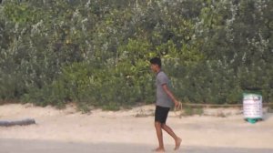 Индия, Южный Гоа, пляж Беталбатим, раздолье для местных собак!