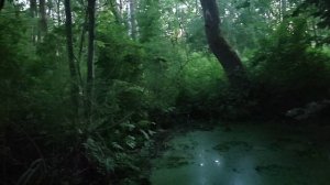 Строительство пруда часть 1