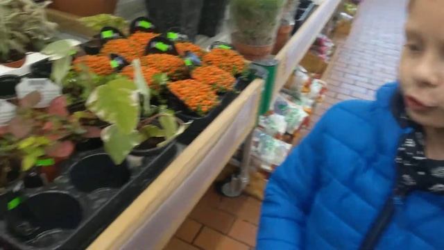 Растение которое ест мух! смотреть онлайн