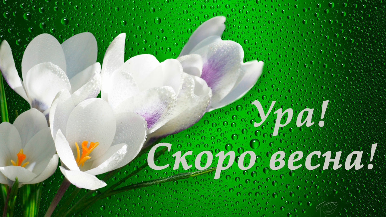 Скоро Весна! С Наступлением весны!Красивая музыкальная открытка!